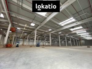 Pronájem skladu, Ostrava - Vítkovice, 1310 m2