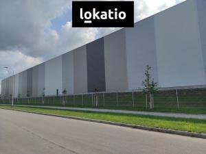 Pronájem skladu, České Budějovice, Okružní, 4100 m2