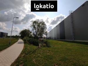 Pronájem skladu, České Budějovice, Okružní, 30300 m2