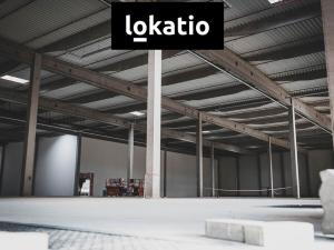 Pronájem výrobních prostor, Olomouc, 2320 m2