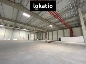 Pronájem výrobních prostor, Olomouc, 3602 m2