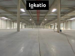 Pronájem výrobních prostor, Olomouc, 3602 m2