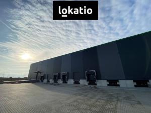 Pronájem výrobních prostor, Olomouc, 3602 m2