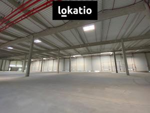 Pronájem výrobních prostor, Olomouc, 10242 m2