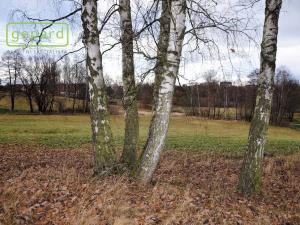 Prodej zemědělské půdy, Trhové Sviny, 4674 m2