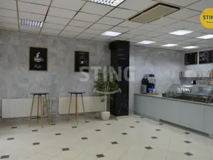 Prodej kanceláře, Kyjov, třída Komenského, 290 m2