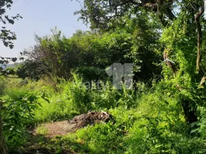 Prodej louky, Praha - Liboc, 217 m2