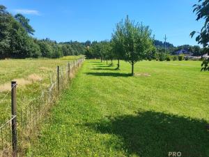 Prodej pozemku pro bydlení, Hrádek, 3286 m2