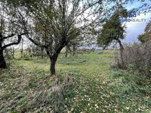 Prodej rodinného domu, Chodský Újezd - Horní Jadruž, 300 m2