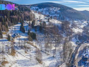 Prodej trvalého travního porostu, Pec pod Sněžkou, 7007 m2