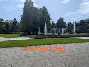 Pronájem obchodního prostoru, Karviná - Nové Město, Čapkova, 76 m2