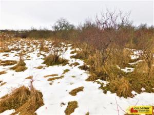 Prodej zahrady, Znojmo, 473 m2