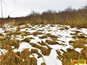 Prodej zahrady, Znojmo, 473 m2