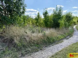 Prodej pozemku pro komerční výstavbu, Znojmo, 21190 m2