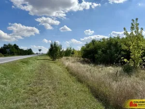 Prodej pozemku pro komerční výstavbu, Znojmo, 21190 m2