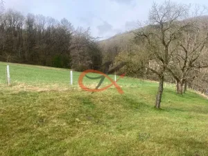 Prodej pozemku pro bydlení, Háj ve Slezsku, 9208 m2