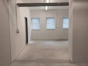 Pronájem skladu, Olomouc, Řepčínská, 50 m2