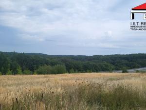 Prodej pozemku pro komerční výstavbu, Hrabyně, 4261 m2