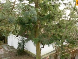 Prodej chalupy, Konice - Nová Dědina, 100 m2