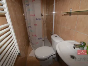 Prodej apartmánu, Oudoleň, 987 m2