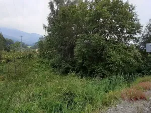 Prodej louky, Loučná nad Desnou, 2427 m2