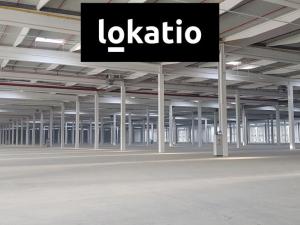 Pronájem skladu, Podbořany, 5000 m2