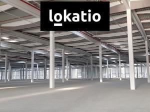 Pronájem skladu, Podbořany, 10000 m2