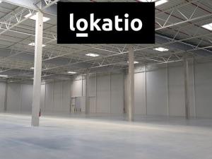 Pronájem skladu, Podbořany, 10000 m2