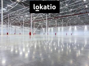 Pronájem skladu, Zdice, 6000 m2