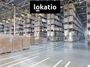 Pronájem skladu, Zdice, 10000 m2