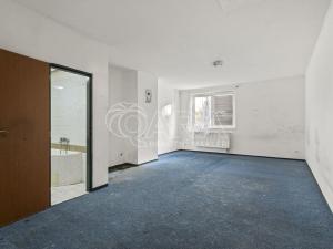 Prodej ubytování, Praha, Na průhonu, 924 m2
