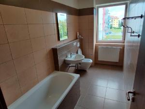 Pronájem bytu 2+kk, České Budějovice - České Budějovice 2, 38 m2