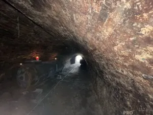 Prodej vinného sklepa, Valtice, 60 m2