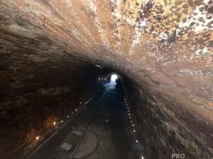 Prodej vinného sklepa, Valtice, 60 m2