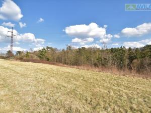 Prodej trvalého travního porostu, Krňany - Třebsín, Krňany, 31358 m2