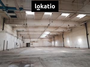 Pronájem skladu, Olomouc, Hamerská, 3000 m2