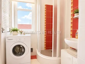 Pronájem bytu 1+kk, České Budějovice - České Budějovice 3, Lipenská, 21 m2