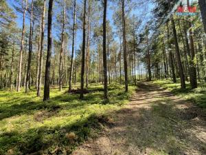 Prodej lesa, Boršov nad Vltavou, 23035 m2