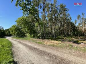 Prodej lesa, Boršov nad Vltavou, 4511 m2