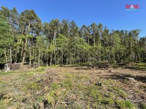 Prodej lesa, Boršov nad Vltavou, 6271 m2