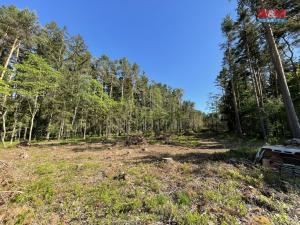 Prodej lesa, Boršov nad Vltavou, 6271 m2