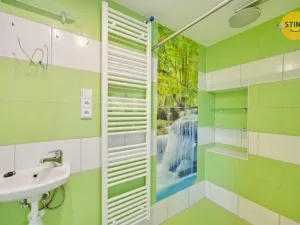 Prodej rodinného domu, Skuteč, Boženy Němcové, 150 m2