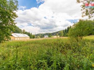 Prodej pozemku pro bydlení, Světlá Hora - Dětřichovice, 2903 m2