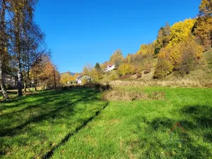 Prodej pozemku pro bydlení, Heřmánkovice, 4496 m2