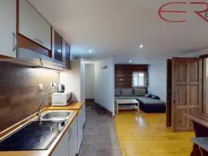 Prodej ubytování, Rokytnice nad Jizerou - Horní Rokytnice, 269 m2