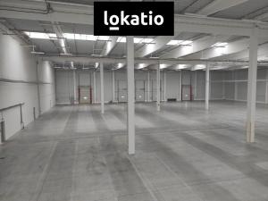 Pronájem skladu, Přestanov, 4262 m2