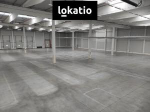 Pronájem skladu, Přestanov, 4262 m2