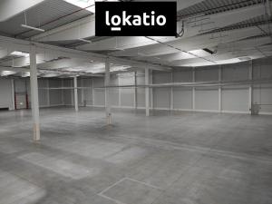Pronájem skladu, Přestanov, 4262 m2