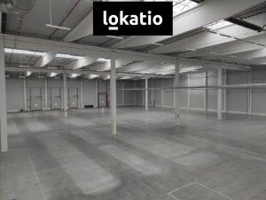 Pronájem skladu, Přestanov, 4262 m2