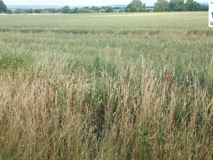 Prodej pozemku pro komerční výstavbu, Mariánské Lázně, Plzeňská, 27272 m2